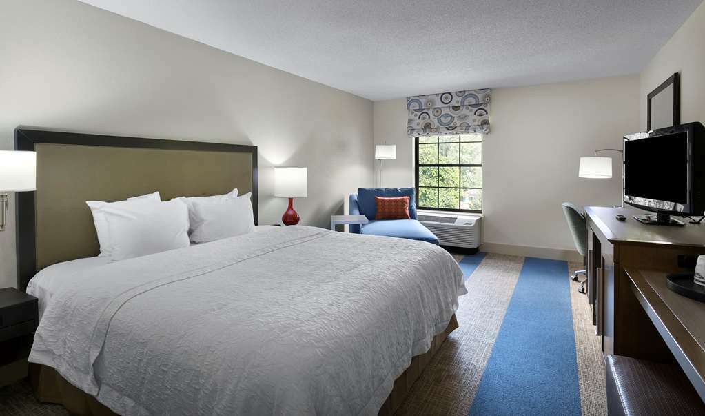 Hampton Inn Helen Habitación foto